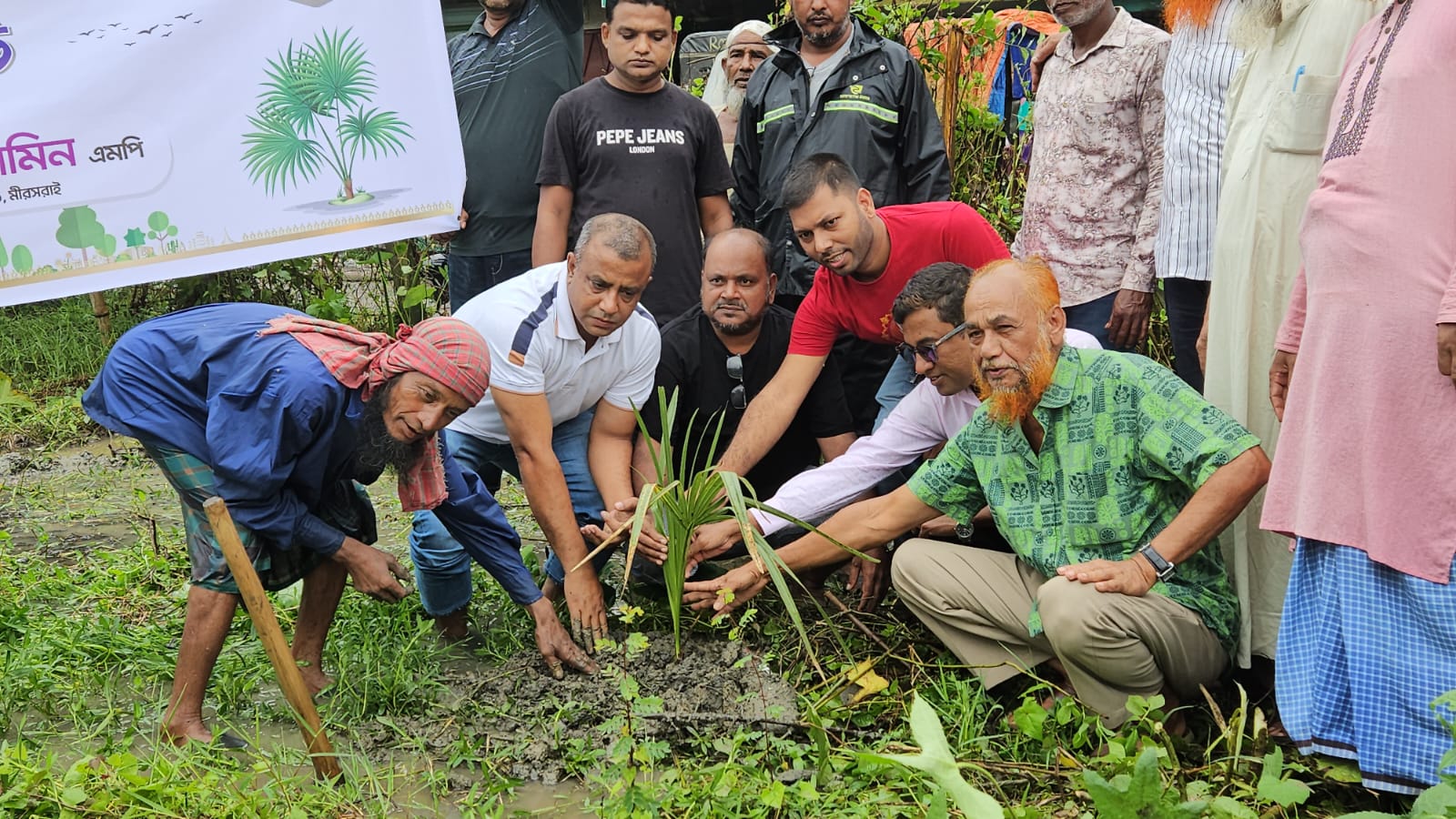 মিরসরাইয়ে বজ্রপাতের ঝুঁকি কমাতে তালগাছ রোপণের প্রতীকী ছবি
