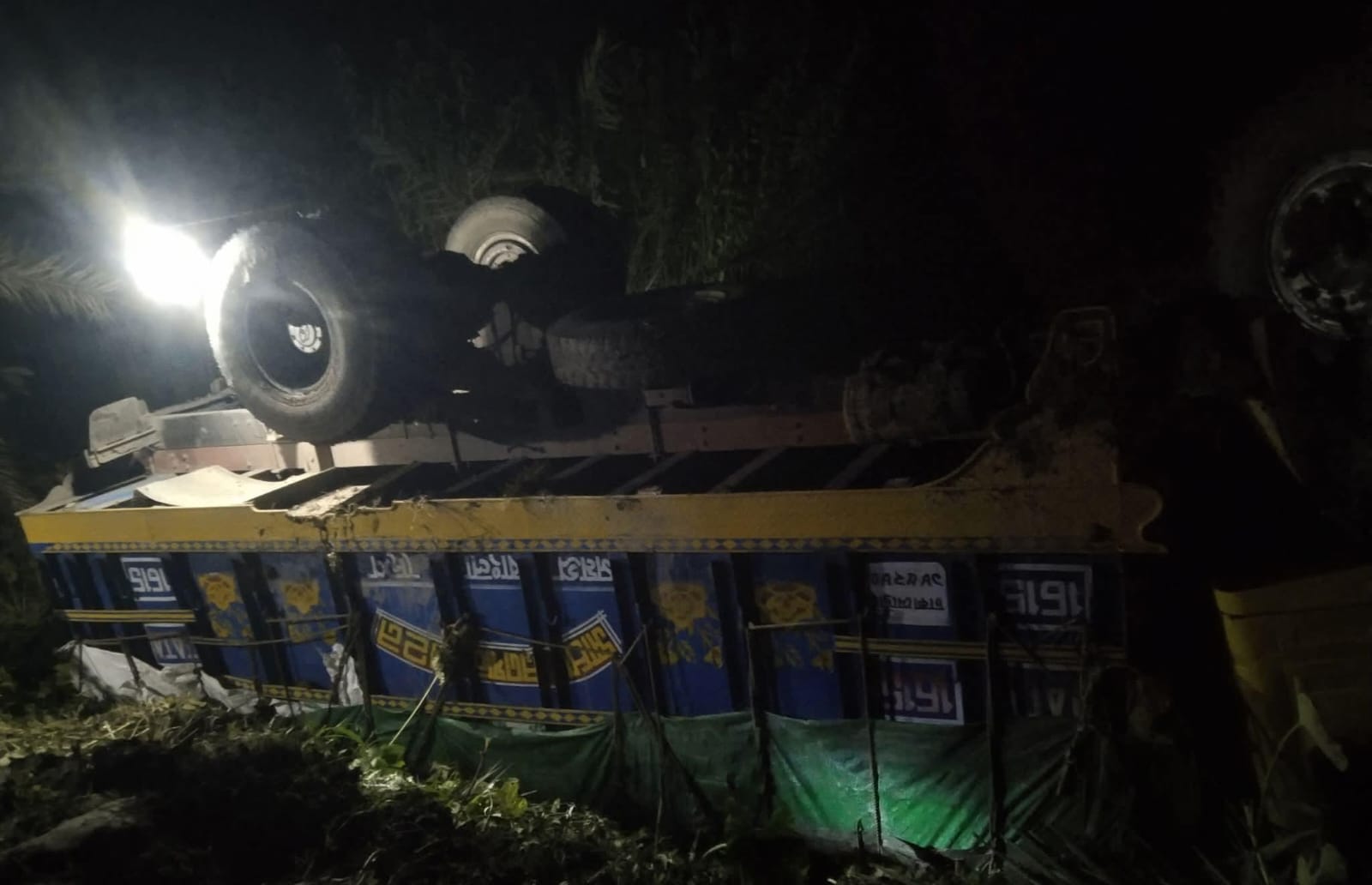 নাজিরপুরে খাদে উল্টে যাওয়া চালবোঝাই ট্রাক