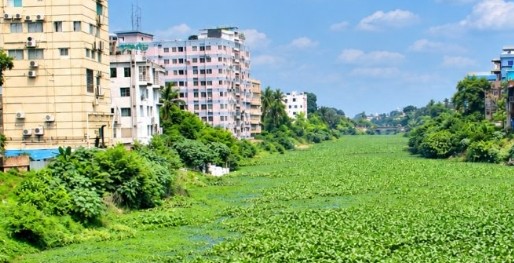 যশোরে ভৈরব নদে শেওলা কচুরিপানায় ঢেকে যাওয়া পানি