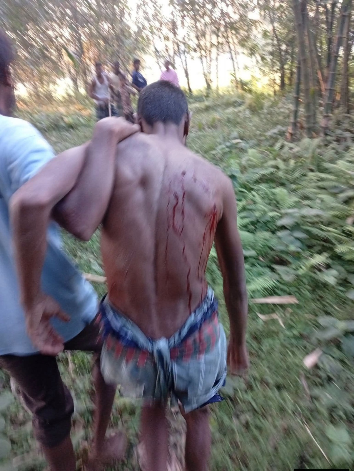 হাতীবান্ধা সীমান্তে বাঘের আক্রমণে তিনজন আহত হওয়ার ঘটনা